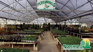 precure nursery garden center sign perennials